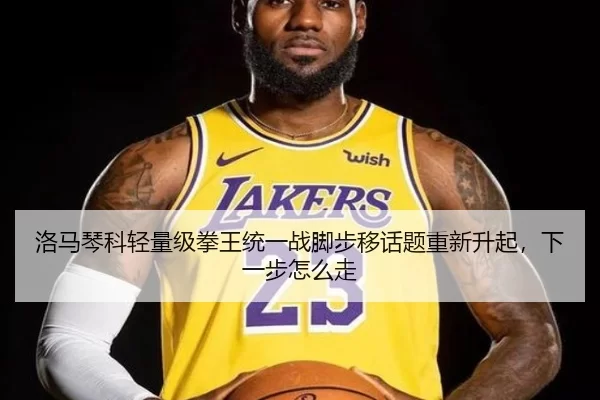 洛马琴科轻量级拳王统一战脚步移话题重新升起，下一步怎么走